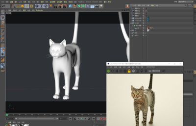 写实猫,家猫C4D模型