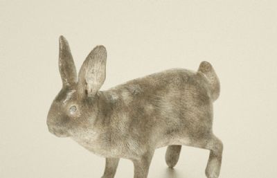 写实兔子,野兔C4D模型