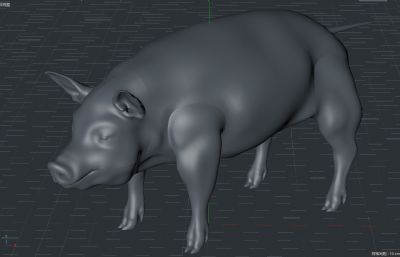 写实家猪,肉猪,白皮猪C4D模型 (带口腔细节）