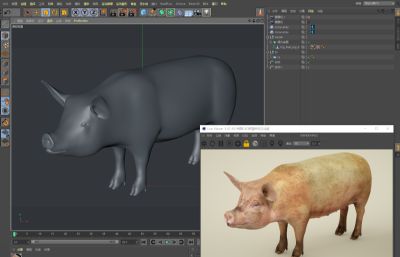 写实农村家养猪,家猪,肉猪C4D模型