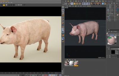 写实猪,写实年猪C4D模型