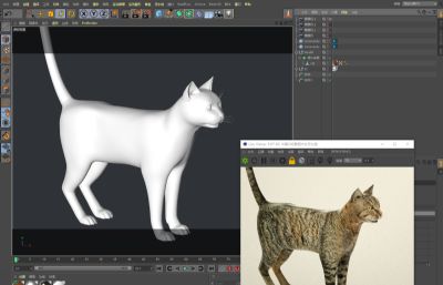 写实猫,家猫C4D模型