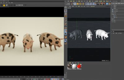 写实香猪,家养大母猪C4D模型