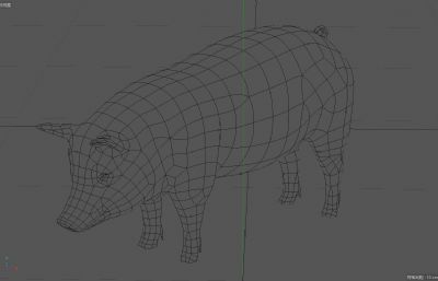 黑猪,家猪肉猪,写实猪C4D模型