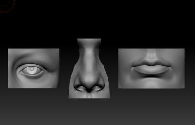 眼睛,鼻子,嘴巴,标准五官模型,提供ztl,c4d19文件