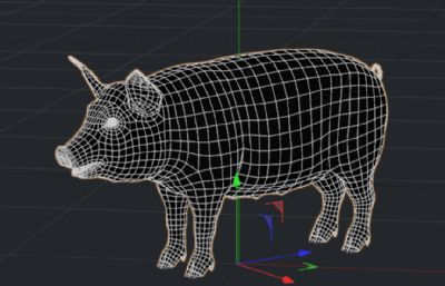 写实猪,写实年猪C4D模型