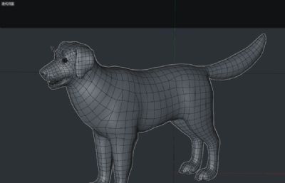 写实金毛犬C4D模型