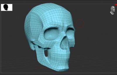 标准人头骨分析模型,C4D,ZTL格式