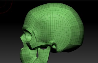 标准人头骨,骷髅C4D模型