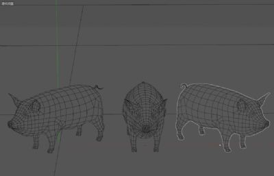 写实母猪,家猪,写实猪C4D模型