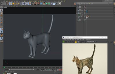 写实猫,家猫C4D模型