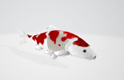 鱼,鲤鱼,锦鲤鱼3D模型,MAX,FBX格式