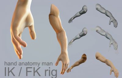 男人手臂模型,有绑定,多种格式