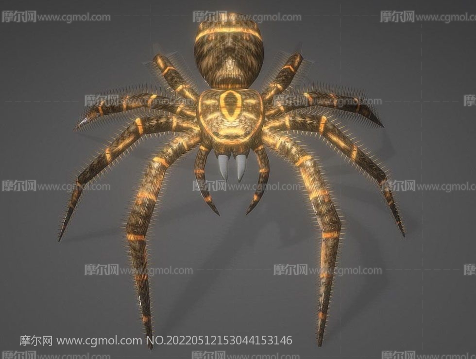 黄蜘蛛,大蜘蛛FBX模型