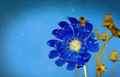 蓝色花朵,雏菊,带开花动画