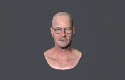 皮肤质感写实人物半身像,高质量老人头像3D模型