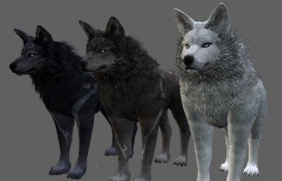 三匹狼,有MAX,FBX,BLEND文件,max文件带绑定