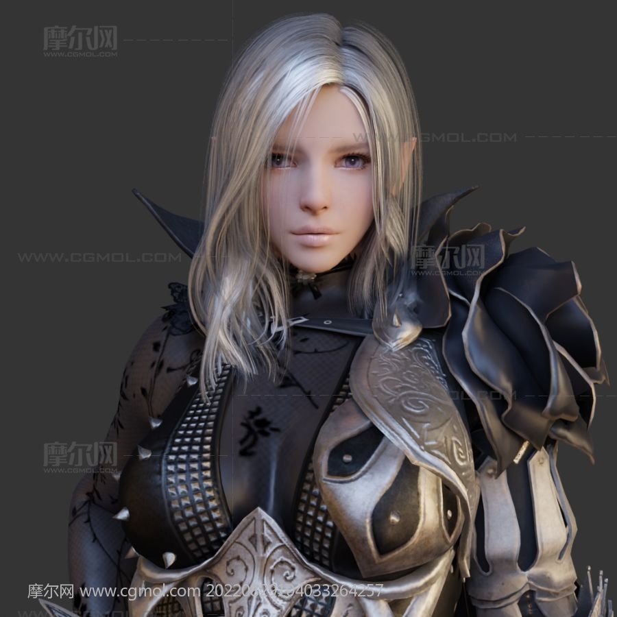 黑暗骑士,女骑士3D模型,BLEND,MAX,FBX多种文件