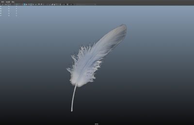 羽毛飘落动画,鸟类羽毛风吹漂浮动画maya模型