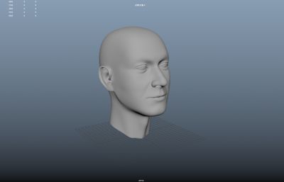 男性头部,中年男人头部maya模型