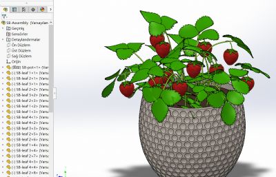 strawberry草莓盆栽3D模型,bip文件带贴图