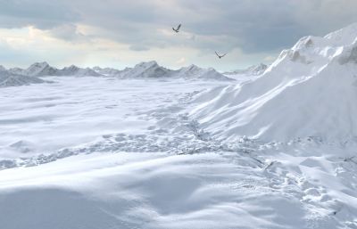 雪域高原老鹰飞过雪山场景动画3D模型,200帧动画(网盘下载)