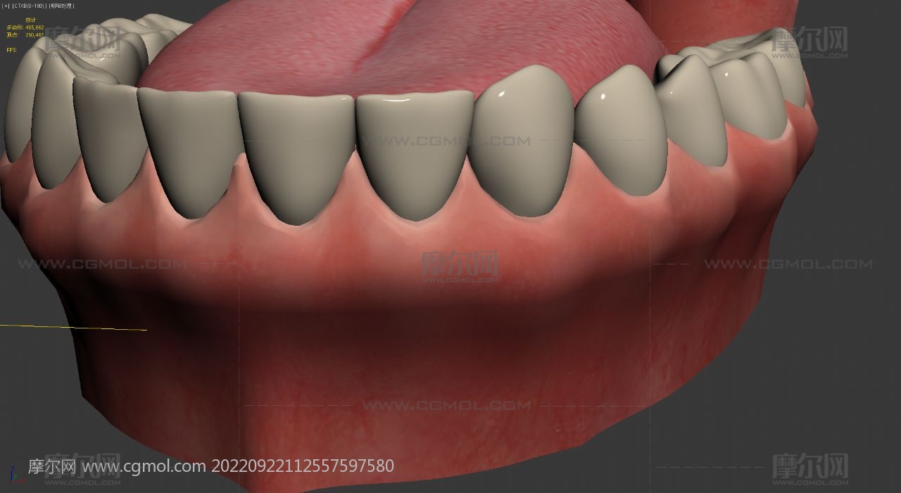 牙齿脱细胞手术,牙齿脱落3D模型动画