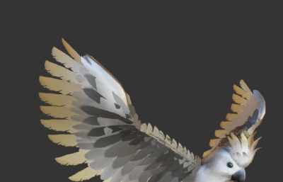7款不同毛发,不同品种的鹦鹉3D模型,FBX格式