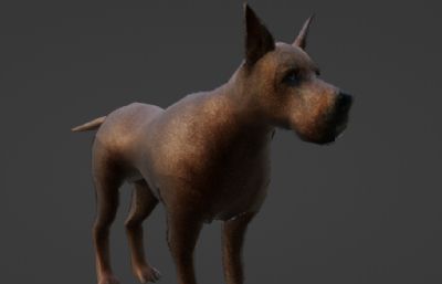 狼狗,三头犬,柯基犬,马犬,等狗子合集3D模型