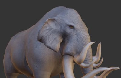 战象,战场大象坐骑集合3D模型