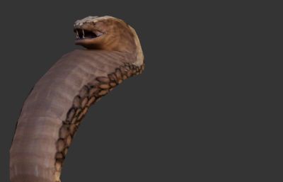 Snake眼镜蛇蛇王游戏怪物3D模型