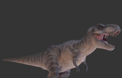 Tyrannosaurus暴龙,霸王龙blender模型,多套皮肤