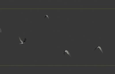 动态飞鸟琵鹭 鸟群飞翔动画3D模型