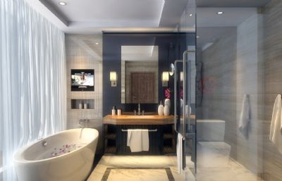 现代简约浴室 浴缸 卫生间3D模型