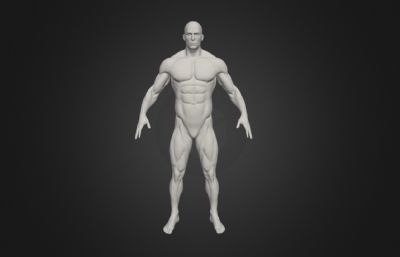 肌肉男 男人体裸模