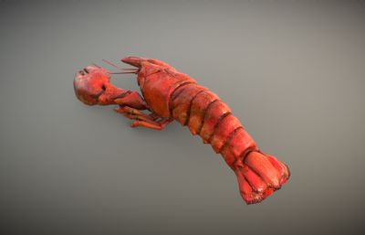 大红龙虾3D模型
