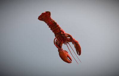 大红龙虾3D模型