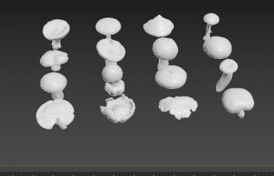 低面写实的红伞伞 白杆杆 菌子 蘑菇FBX模型