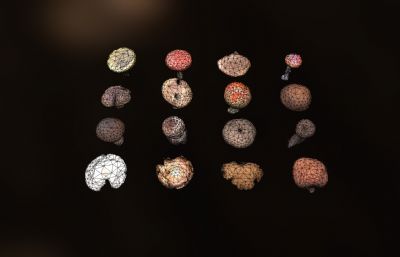 低面写实的红伞伞 白杆杆 菌子 蘑菇FBX模型