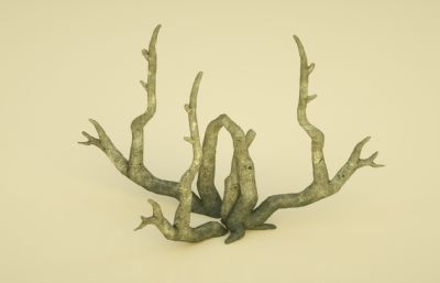 枯树 树干 腐烂的树木C4D模型