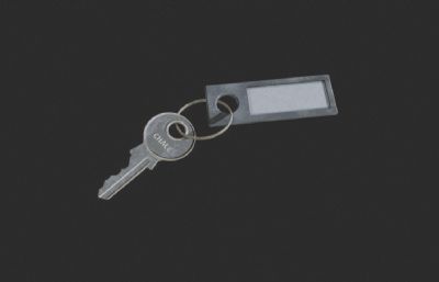 钥匙+门禁卡,老钥匙3dmaya模型