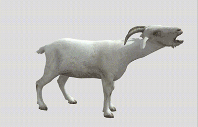 写实山羊,公羊3D模型,带动画