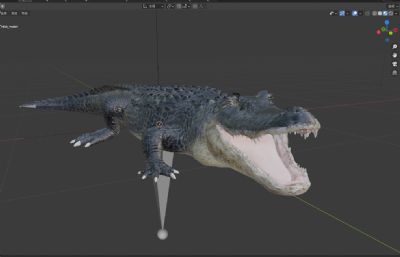 写实鳄鱼3D模型,带动画