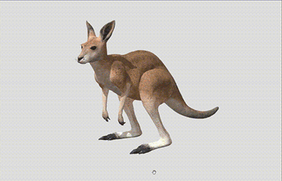 写实澳洲国宝袋鼠3D模型