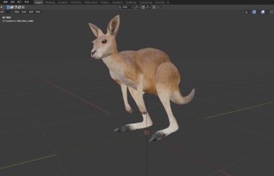 写实澳洲国宝袋鼠3D模型