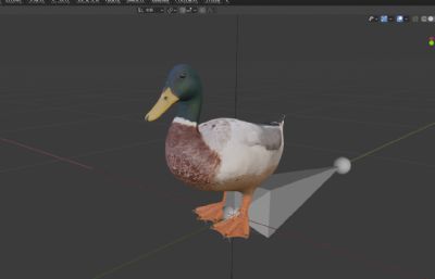 绿头鸭写实3D模型,带动画