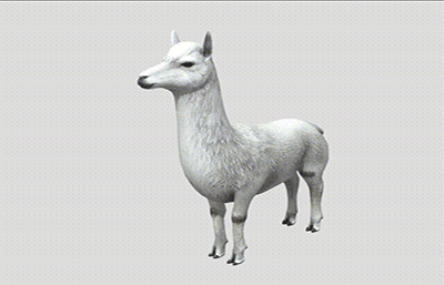 羊驼,草泥马写实3D模型
