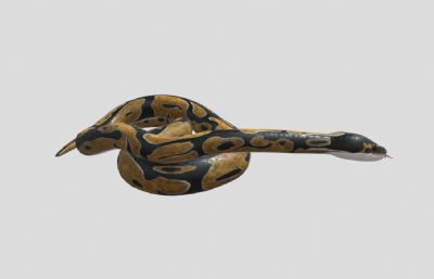 大蟒蛇,亚马逊森蚺写实模型,带动画