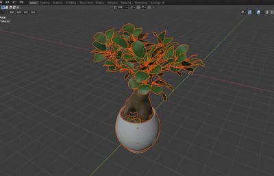 发财树盆栽3D模型