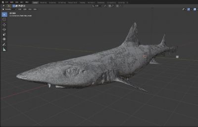 灰星鲨,灰鲨写实模型